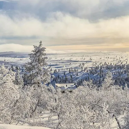 Tunturikuksa By Interhome * 사리셀카