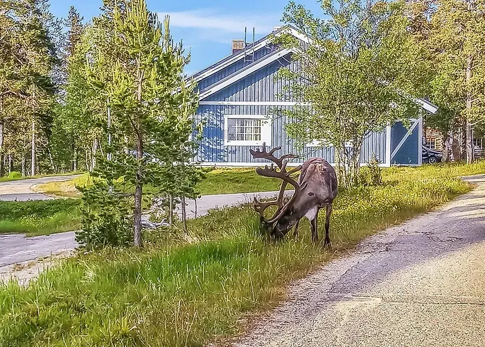 Tunturikuksa By Interhome Hébergement de vacances Saariselkä